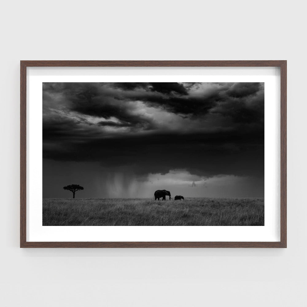 Thunderstorm on the Savannah