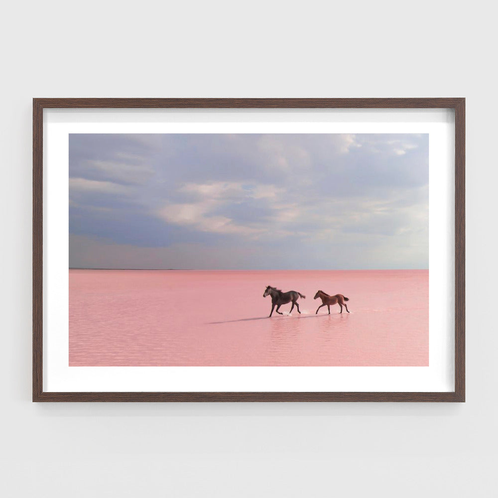 Pink salt lake