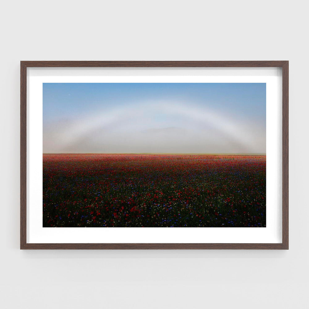 Fogbow