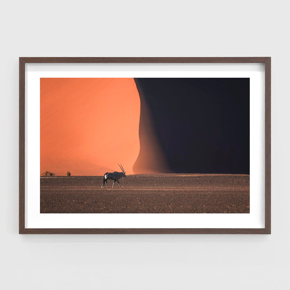 Namibia Impressions