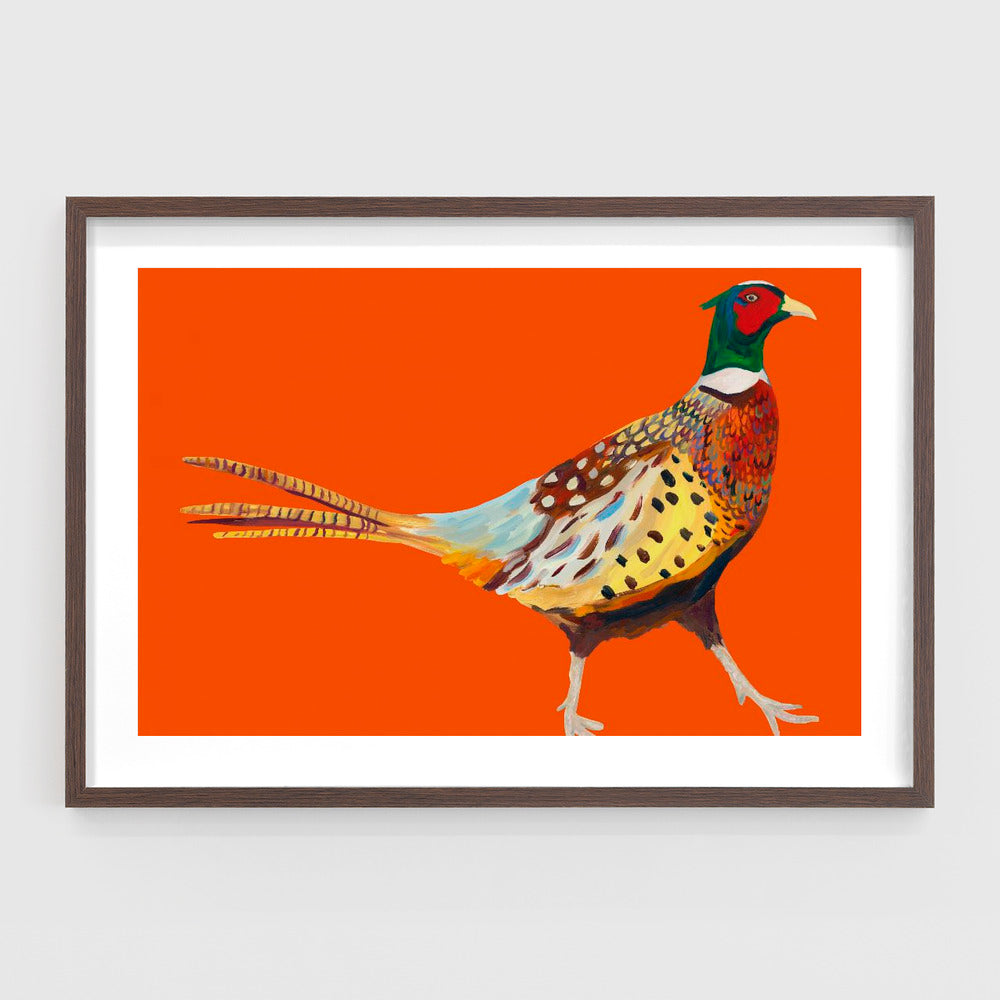 Strutting Pheasant On Orange