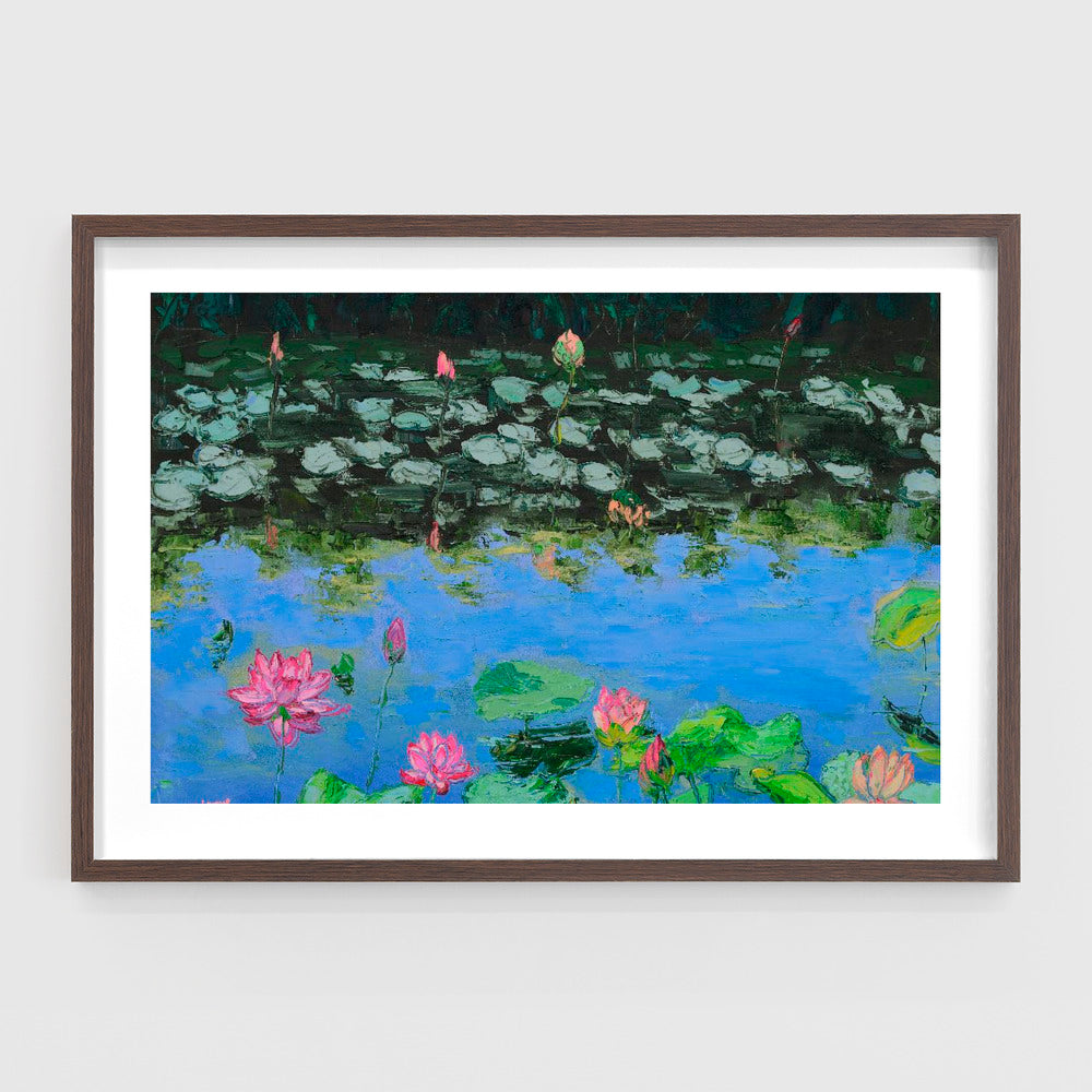 Pink Lotus Lilies in a Pond