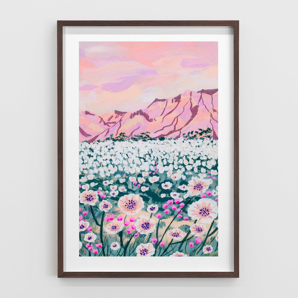 Pink Desert