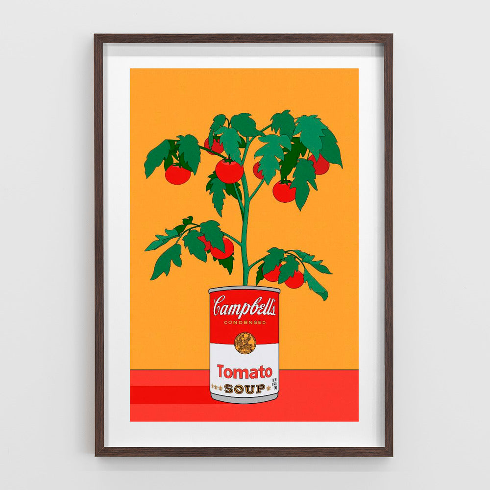 Campbells Soup Tomato Plant Retro Illustration