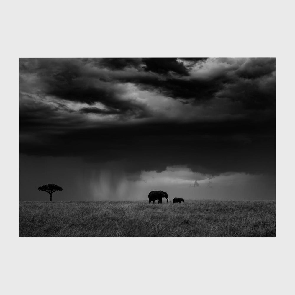 Thunderstorm on the Savannah