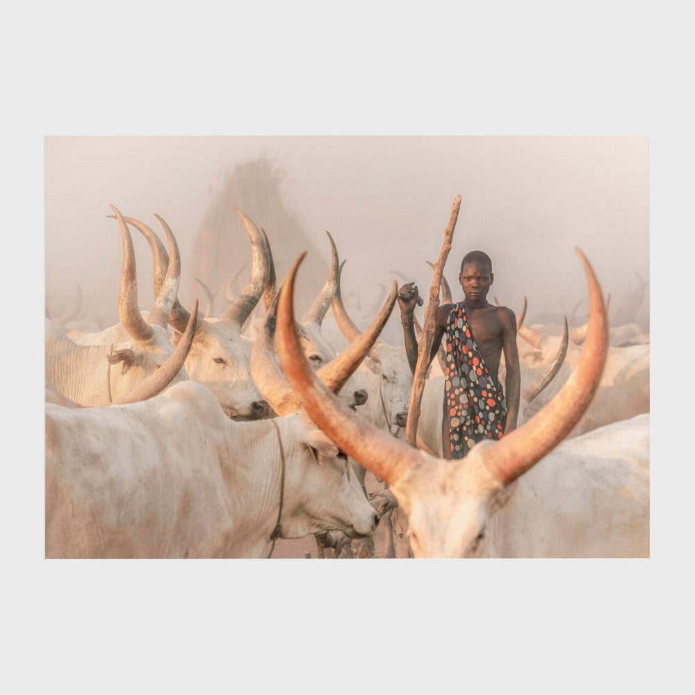 Framed Mundari herder