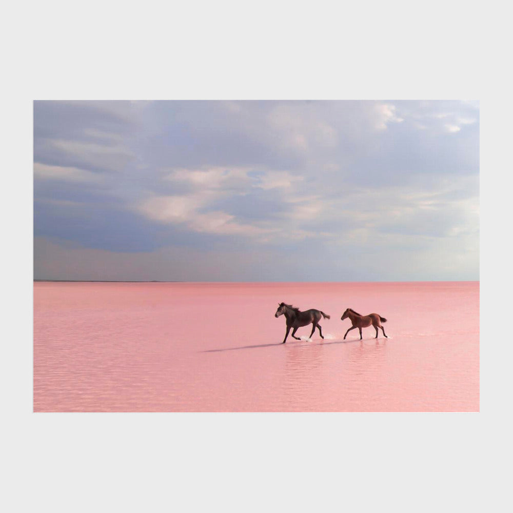 Pink salt lake