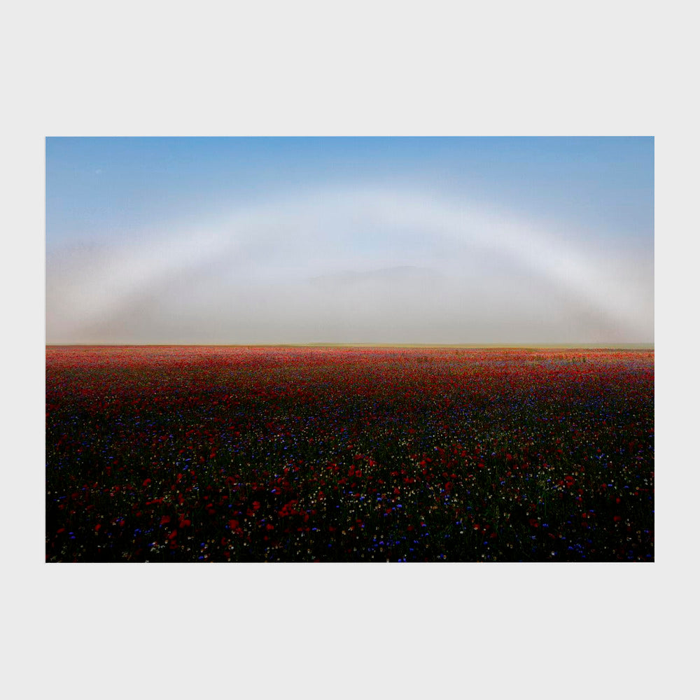 Fogbow