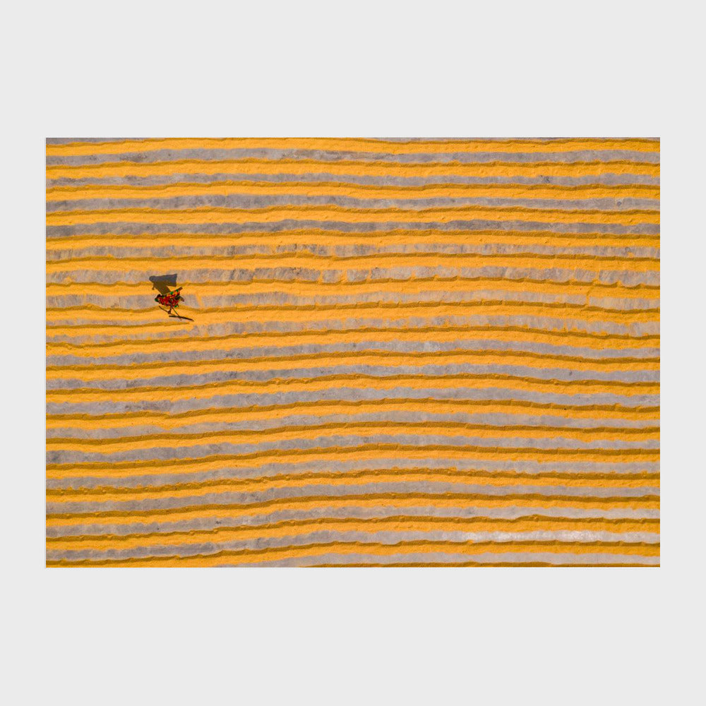 Woman working in rice field