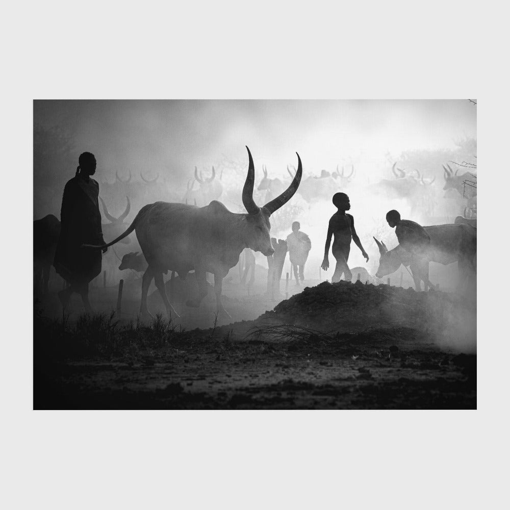 Mundari cattle camp