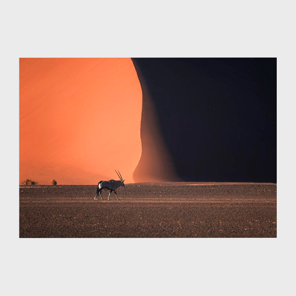 Namibia Impressions