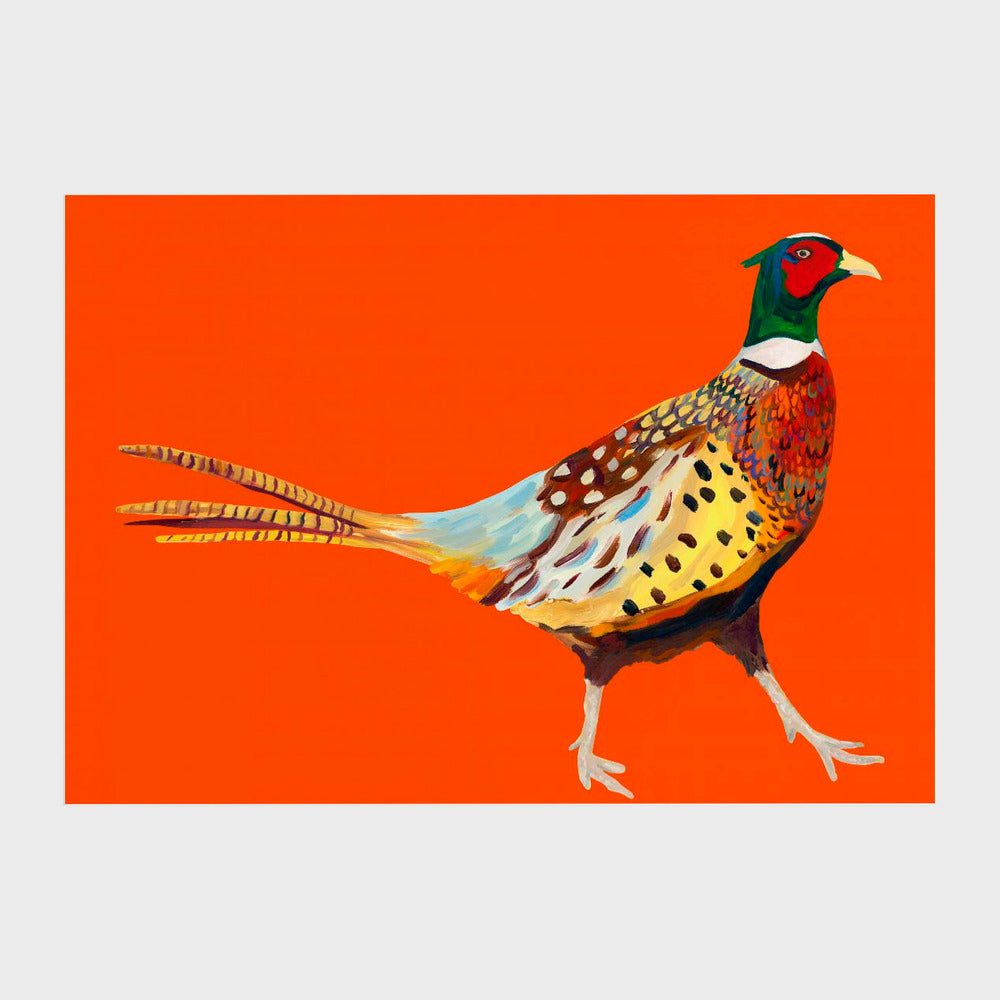 Strutting Pheasant On Orange