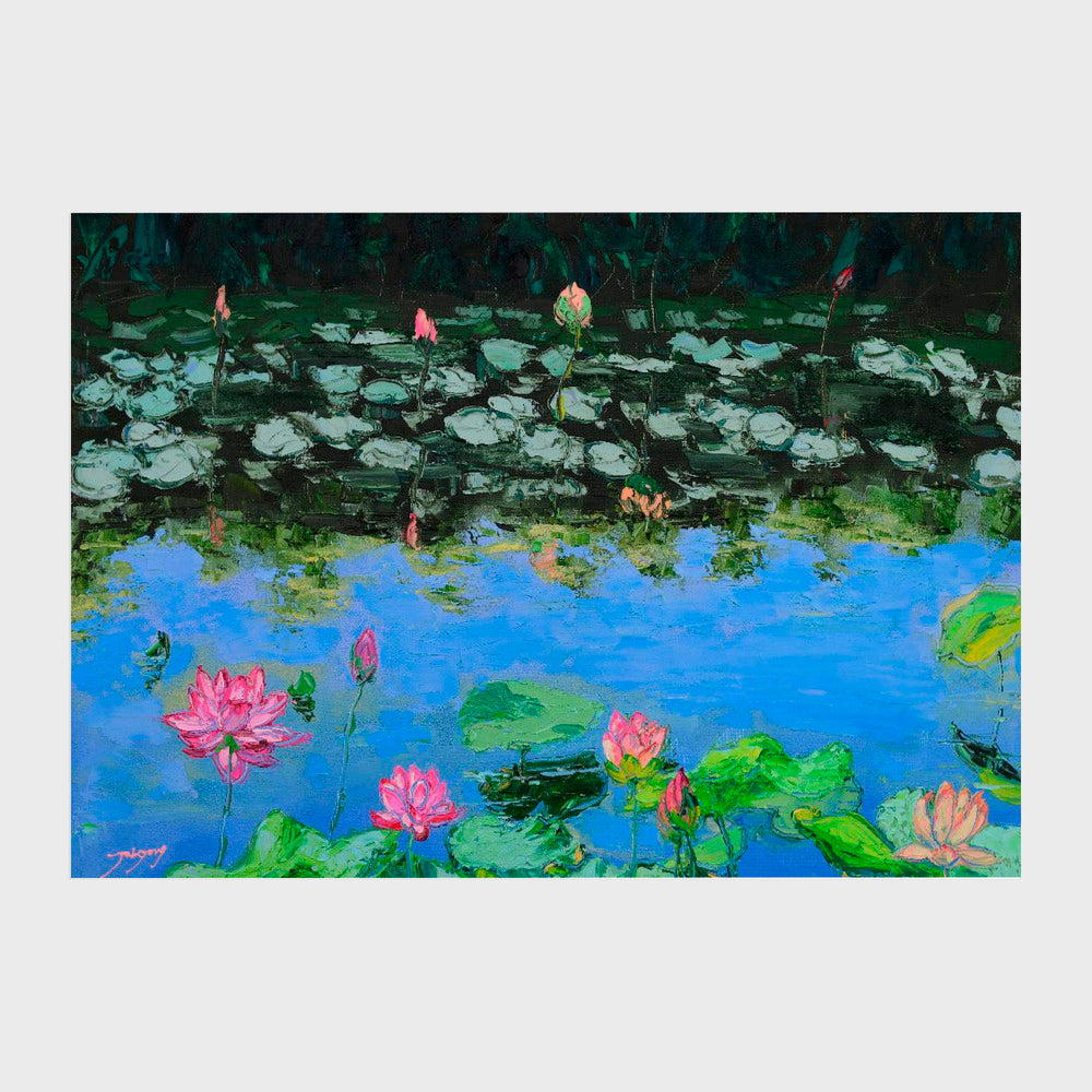 Pink Lotus Lilies in a Pond