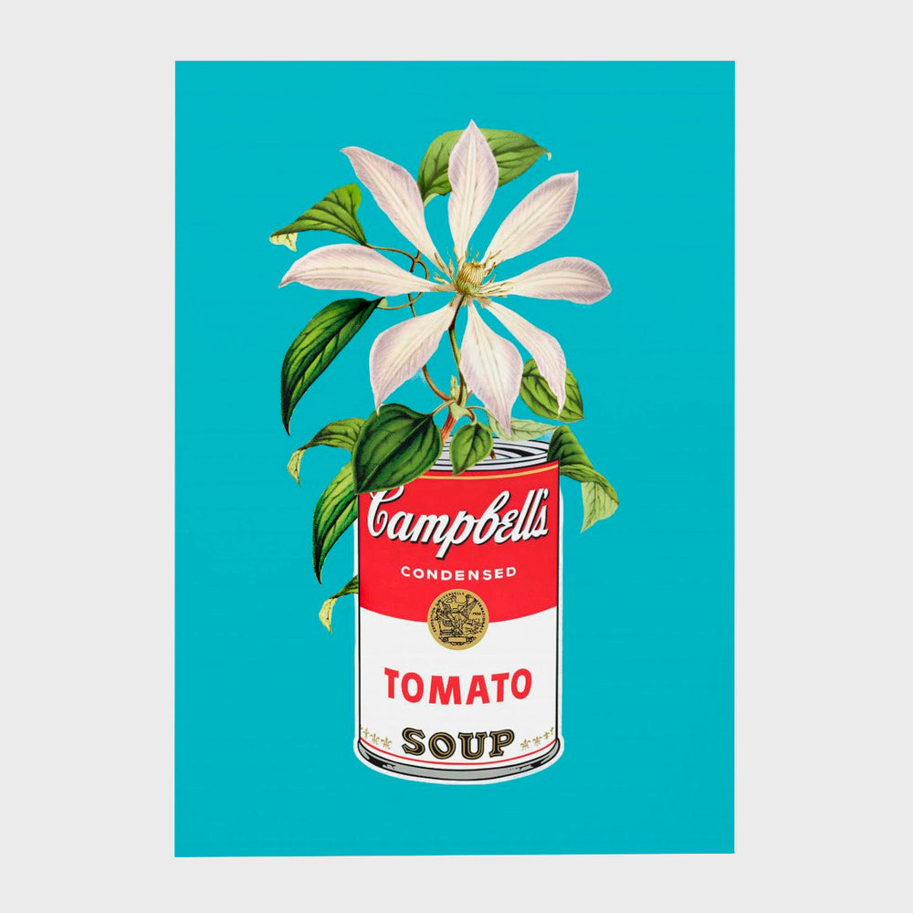 Campbells and Flowers