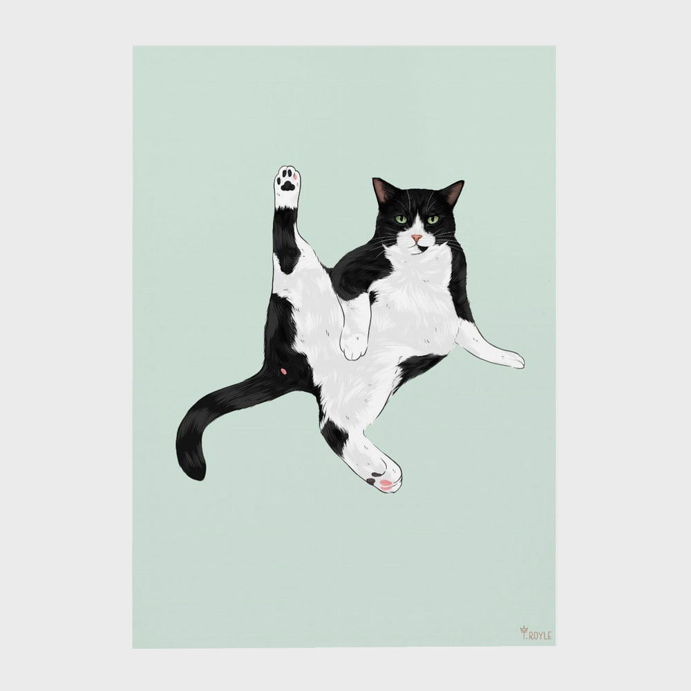 Yoga Cat