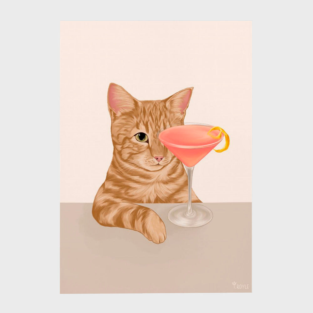 Ginger Cat with Cosmopolitan Cocktail