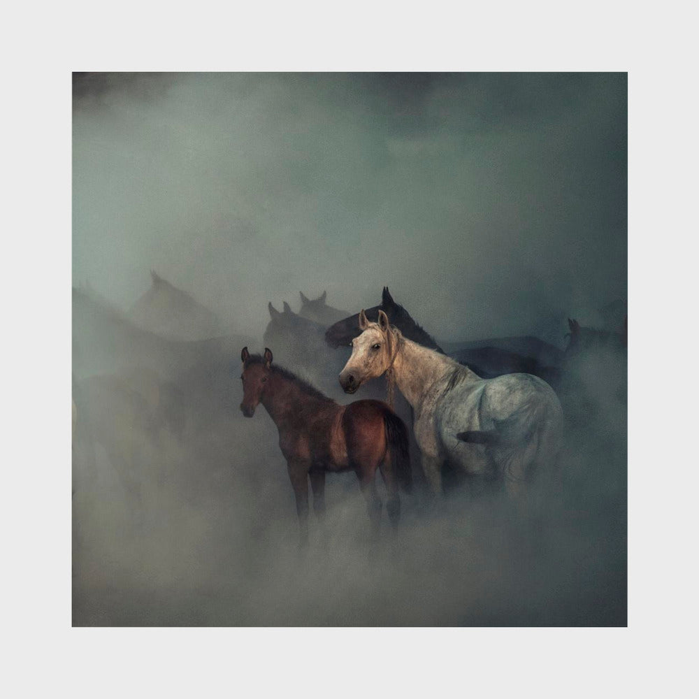 The lost horses