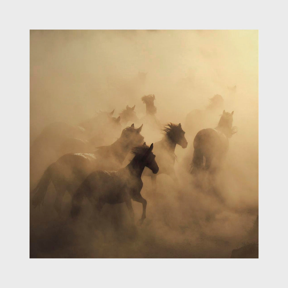 Migration of horses